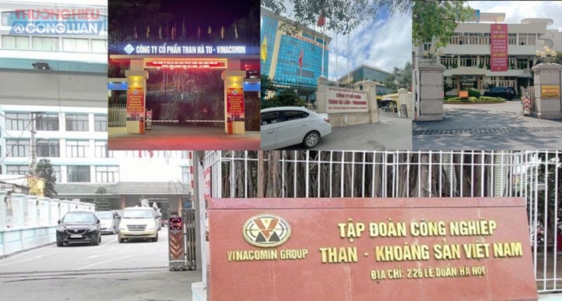 Thương hiệu TKV và công tác quản lý tại các công ty con trực thuộc tập đoàn