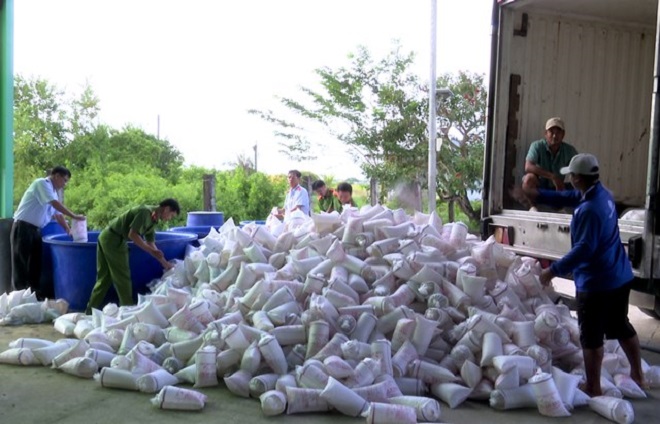 Bạc Liêu tiến hành tiêu hủy hơn 2 triệu con tôm giống chưa qua kiểm dịch