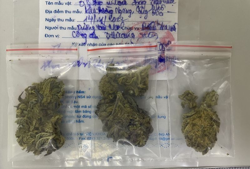 Bắt giữ 02 đối tượng mua bán trái phép chất ma tuý