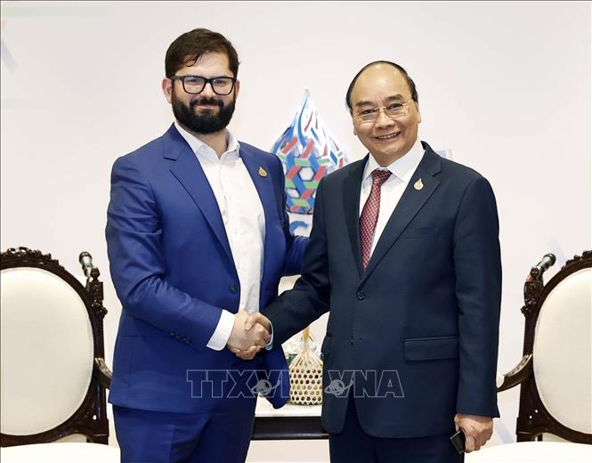 Chủ tịch nước Nguyễn Xuân Phúc gặp Tổng thống Chile Gabriel Boric