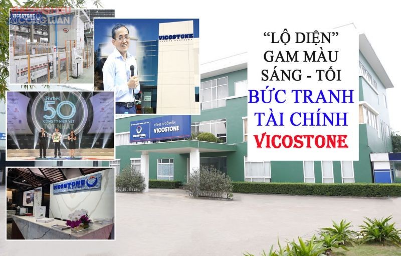 Lợi nhuận tăng giảm trong bức tranh tài chính của thương hiệu Vicostone