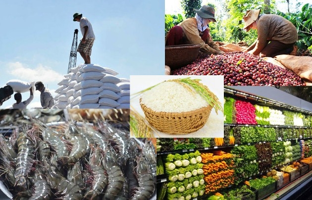 Nông sản Việt cũng có nhiều thương hiệu được xuất sang EU. Ảnh internet