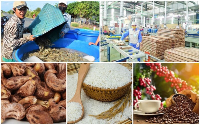 Mặt hàng nông, lâm sản Việt Nam xuất khẩu sang EU. Ảnh VOV