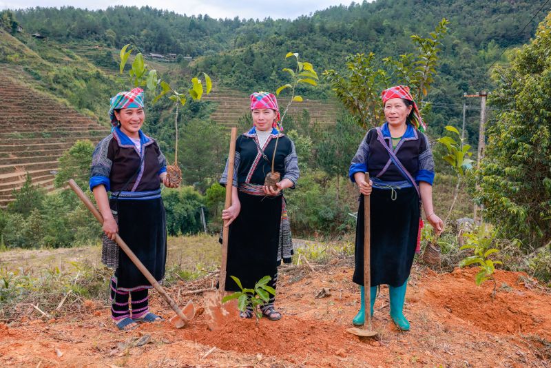 Người dân địa phương tham gia sự kiện trồng cây