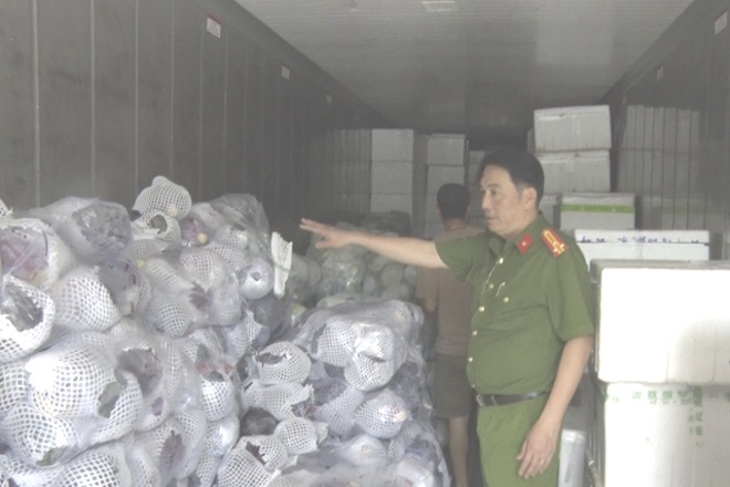Tiêu hủy gần 6 tấn rau, củ, quả các loại không rõ nguồn gốc xuất xứ tại Khánh Hòa