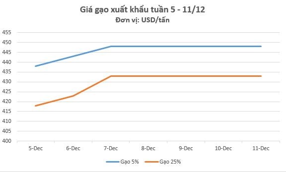 Giá gạo xuất khẩu tuần qua điều chỉnh tăng 15 USD/tấn. Ảnh Congthuong.vn