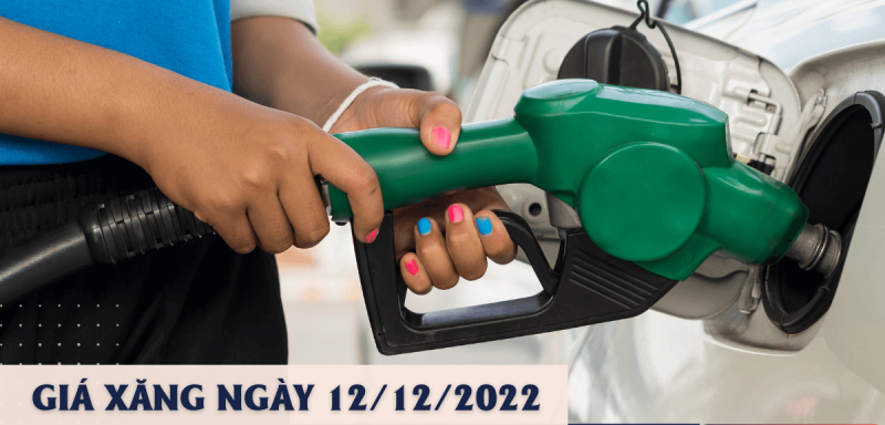 Kỳ điều hành giá xăng dầu ngày 12/12, có thể giảm mạnh ở mức 1.200-1.500 đồng/lít