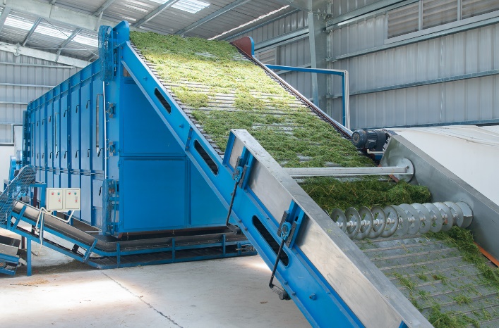 Hệ thống sấy cỏ sử dụng khí mê-tan được xử lý qua Biogas giúp trang trại Vinamilk tiết kiệm được nhiều chi phí điện năng khi vận hành