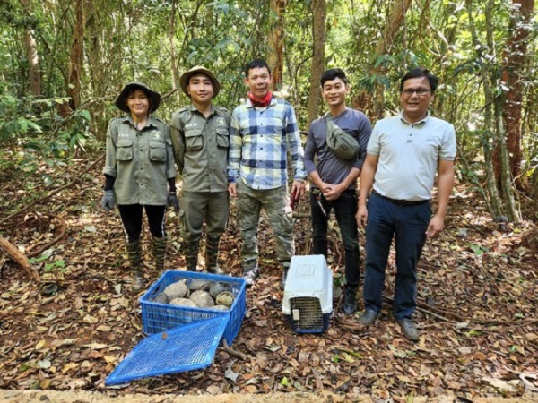 Bình Phước tái thả 83 cá thể động vật quý hiếm về rừng tự nhiên