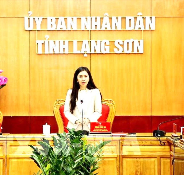 Phó Chủ tịch UBND tỉnh, Trưởng Ban Chỉ đạo 389 Lạng Sơn, Đoàn Thu Hà