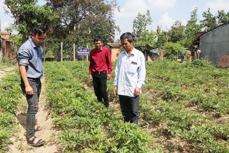 Cán bộ Trung tâm Dịch vụ nông nghiệp thị xã An Khê hướng dẫn người dân về kỹ thuật trồng cây dược liệu. Ảnh:baogialai.com.vn