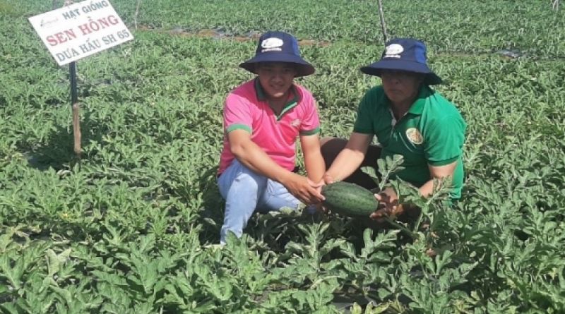 Gạo và dưa hấu Gò Công được cấp nhãn hiệu tập thể