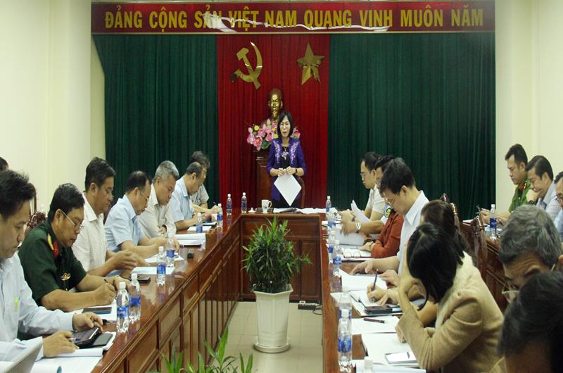 Bà Nguyễn Thị Hoàng, Phó Chủ tịch UBND tỉnh phát biểu chỉ đạo tại hội nghị