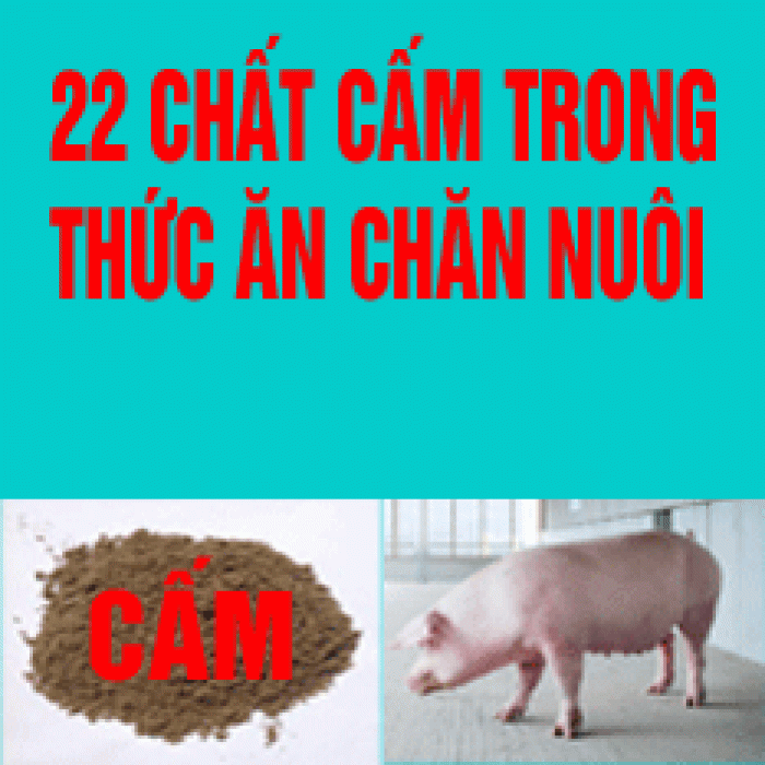 Ảnh minh họa, nguồn internet