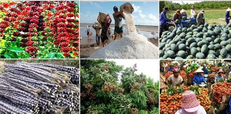 Thị trường tiêu thụ nông sản tiếp tục được mở rộng