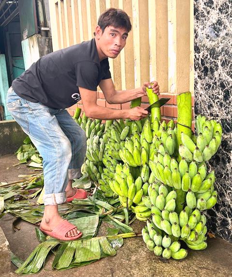 Sau khi thu mua , thương l&aacute;i sửa soạn lại mặt h&agrave;ng đẹp để chất l&ecirc;n xe