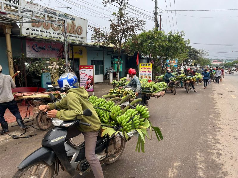 Chuối mốc được &ldquo;Tập kết&rdquo; đưa ra thị trường để phục vụ người ti&ecirc;u d&ugrave;ng dịp Tết