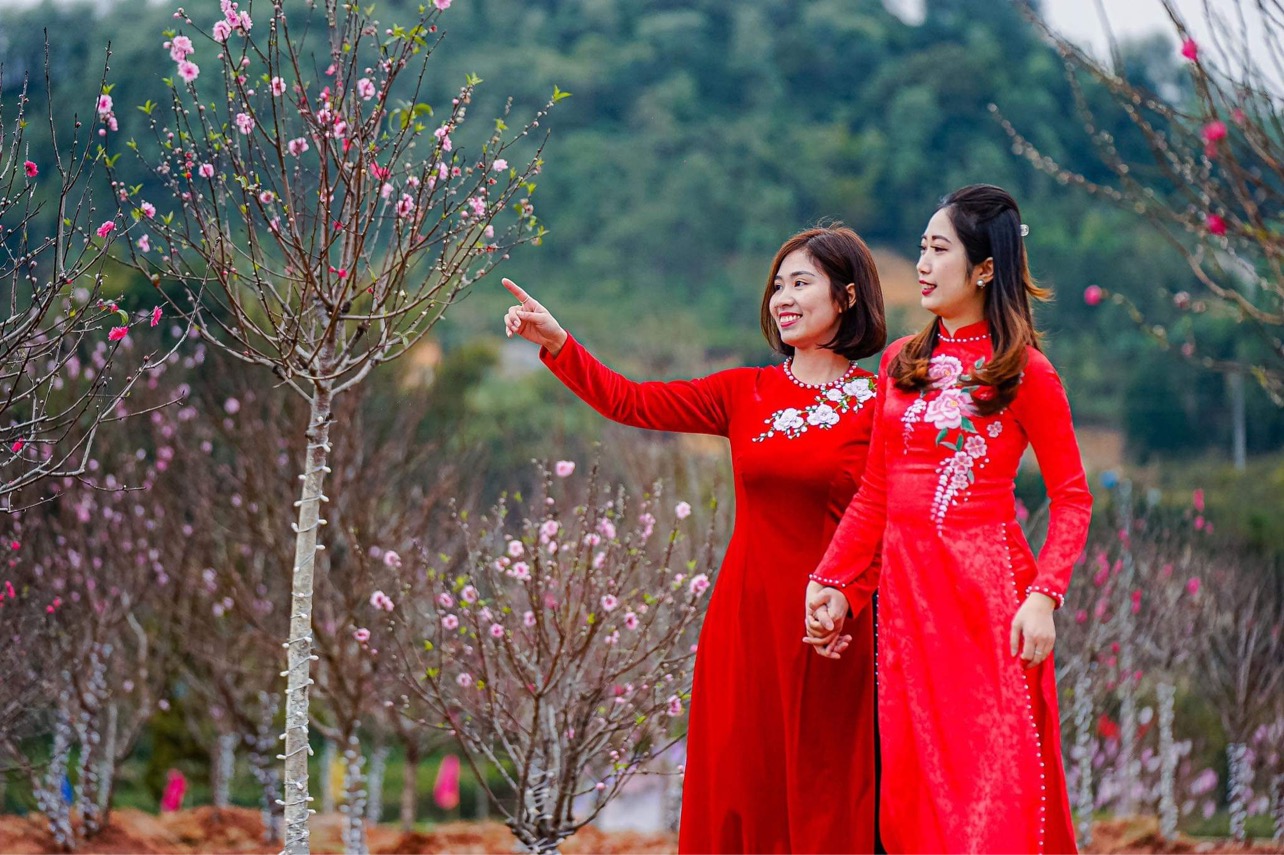 Hoa đào trong tâm thức người Việt, là loại hoa đặc biệt, mang những giá trị văn hoá - tinh thần cũng như đại diện cho sức sống, may mắn và hạnh phúc của người Việt.