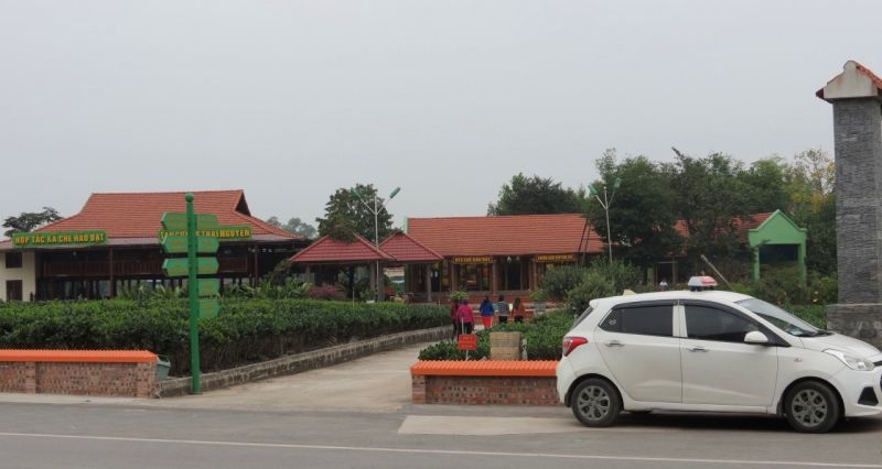 Khu trải nghiệm không gian văn hóa trà tại Hợp tác xã Hảo Đạt