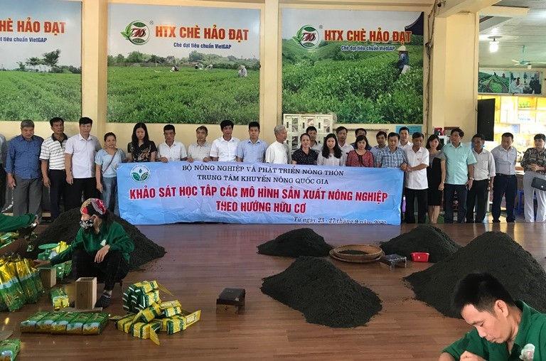 Khu trưng bày sản phẩm và thưởng trà