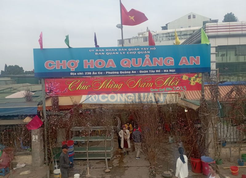 Xu hướng chơi hoa Tết Quý Mão có gì khác biệt?