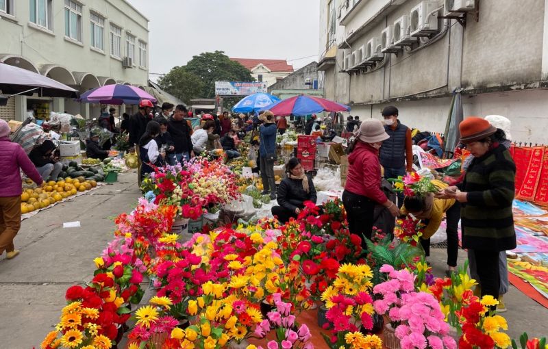 Gian hàng tranh, hoa với đa dạng sắc màu phục vụ người dân vui Xuân đón Tết