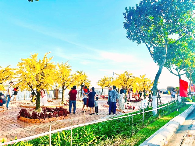 Người dân, du khách nhộn nhịp check-in ở đường hoa Xuân Đà Nẵng