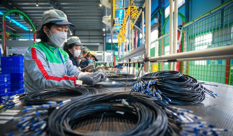 Năm 2023, chuyên gia dự báo kinh tế Việt Nam có nhiều biến động mạnh