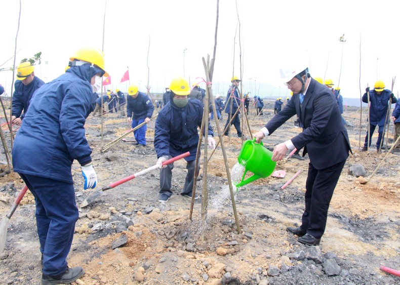 Đồng chí Cao Tường Huy, Quyền Chủ tịch Ủy ban nhân dân tỉnh Quảng Ninh và cán bộ, công nhân Công ty cổ phần Than Đèo Nai tham gia trồng cây ngay sau lễ phát động.
