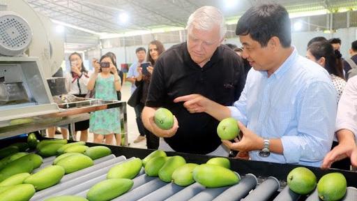 EU sửa đổi quy định về ngưỡng dư lượng thuốc bảo vệ thực vật trên rau, hoa quả như thế nào?