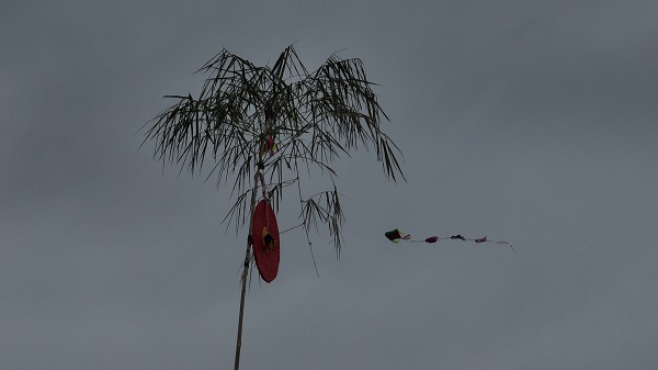 C&ograve;n về đ&iacute;ch