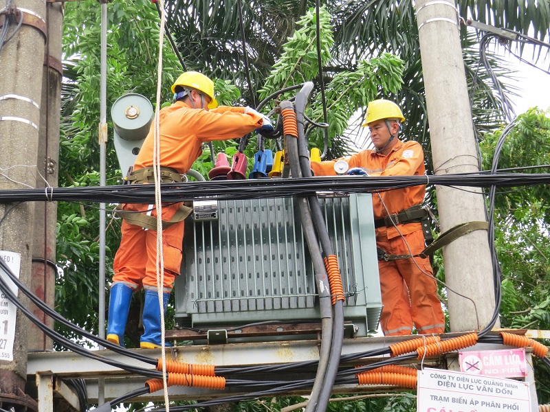 236 Công nhân Điện lực Vân Đồn xử lý khiếm khuyết trên lưới điện, đảm bảo cung cấp điện an toàn liên tục