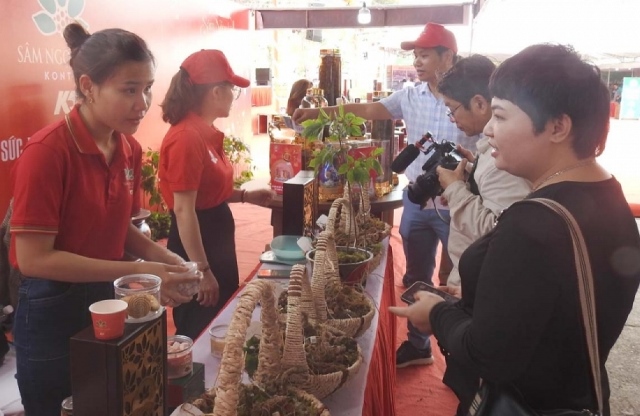 Phiên chợ Sâm Ngọc Linh huyện Tu Mơ Rông lần 2 nhận được sự quan tâm rất lớn từ người tiêu dùng.