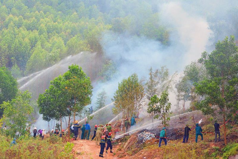 Thành phố Bắc Ninh tổ chức phương án diễn tập phòng cháy, chữa cháy rừng huy động nhiều lực lượng, phương tiện tham gia tại phường Nam Sơn (tháng 9/2022)