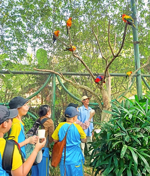Học sinh trường tiểu học Trưng Nữ Vương, quận Liên Chiểu, TP. Đà Nẵng trải nghiệm khu vườn bảo tồn chim tại phố cổ Hội An