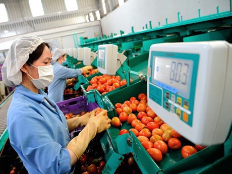 Chuyên gia dự báo kịch bản kinh tế năm 2023, ngành nông nghiệp đáng chú ý