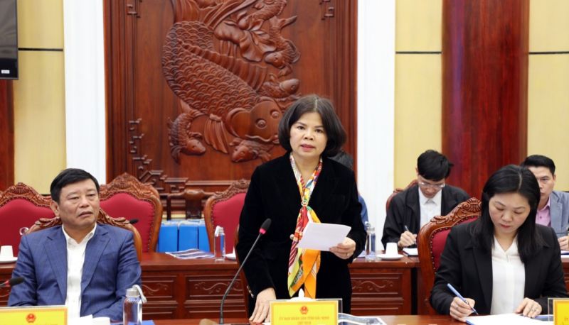 Chủ tịch UBND tỉnh Bắc Ninh Nguyễn Hương Giang phát biểu tại Hội nghị