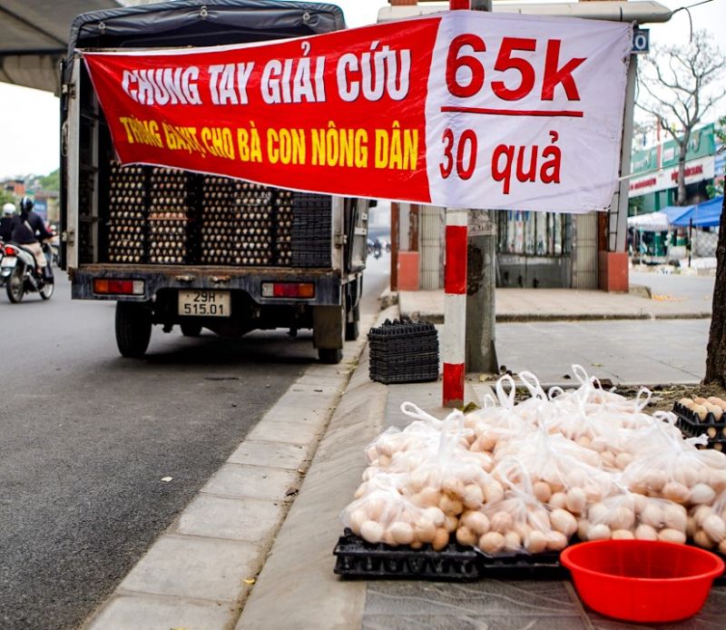 Cần xác minh làm rõ nguồn gốc số trứng gà, vịt đang bán giải cứu ở Hà Nội