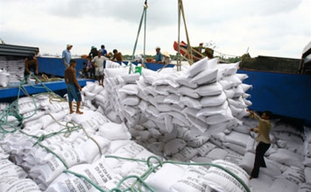 Doanh nghiệp dự báo, xuất khẩu gạo vẫn tiếp tục thuận lợi. Ảnh minh họa internet
