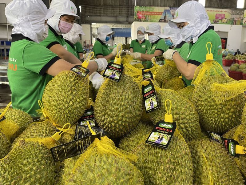 Xuất khẩu rau quả của Việt Nam đạt kỷ lục