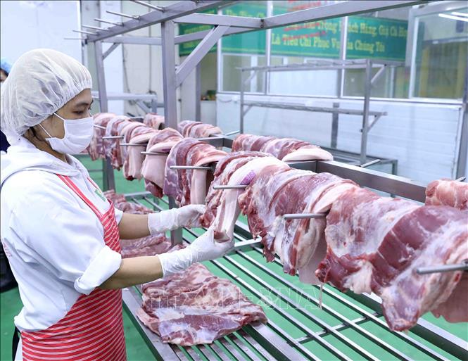 Xuất khẩu thịt của Việt Nam sụt giảm mạnh trong những tháng đầu năm