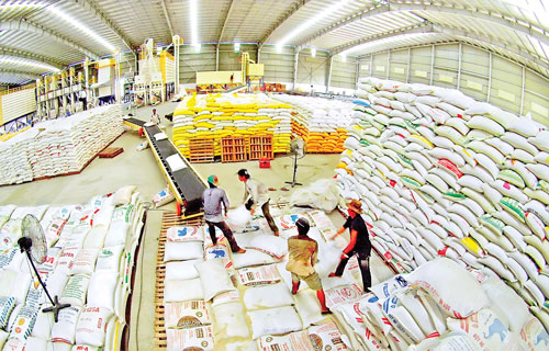 Xuất khẩu gạo tăng 6%. Ảnh internet