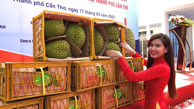 Hình ảnh những trái sầu riêng trong lô hàng đầu tiên xuất khẩu sang Trung Quốc. (Ảnh: PLO)