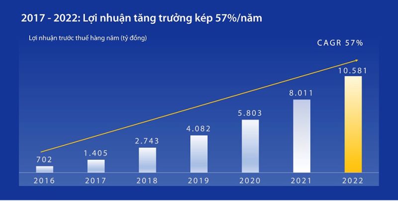 Tăng trưởng lợi nhuận hàng năm, 2017-2022 Nguồn: BCTC, 2016-2022