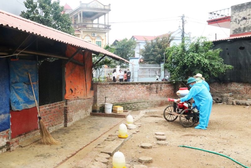 Tổ chức phun hóa chất tại xã Bình Dương, huyện Gia Bình, tỉnh Bắc Ninh