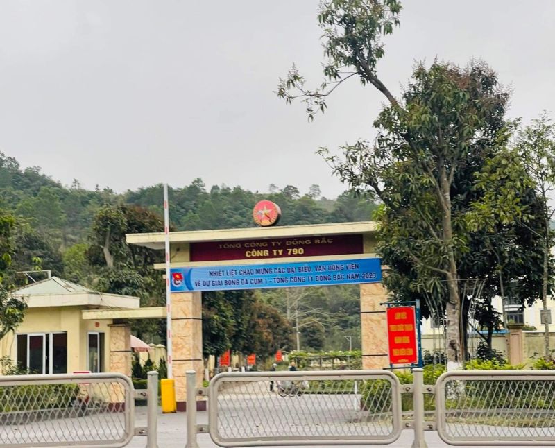 Thương hiệu Công ty 790 và hoạt động sản xuất kinh doanh