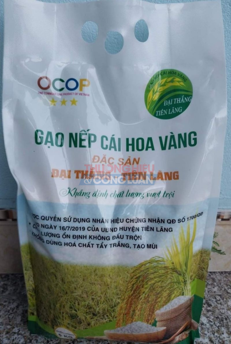 Gạo Nếp cái hoa vàng của xã Đại Thắng, huyện Tiên Lãng, Hải Phòng được chứng nhận là sản phẩm OCOP