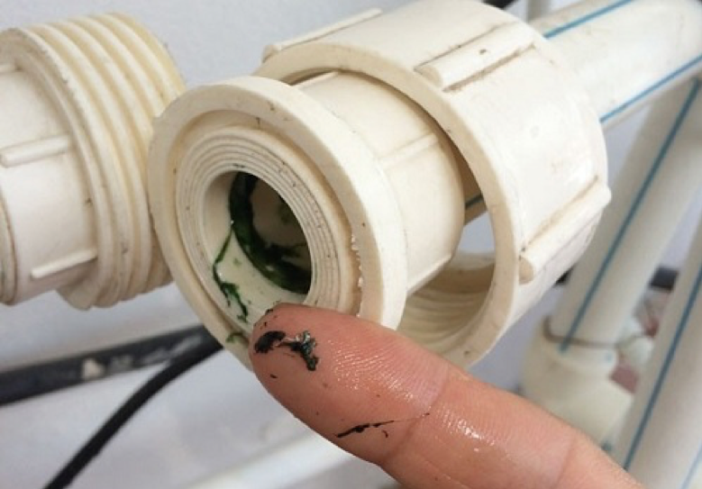 Rong r&ecirc;u b&aacute;m quanh th&agrave;nh ống dẫn nước sau v&agrave;i năm sử dụng (Nguồn ảnh: Internet).