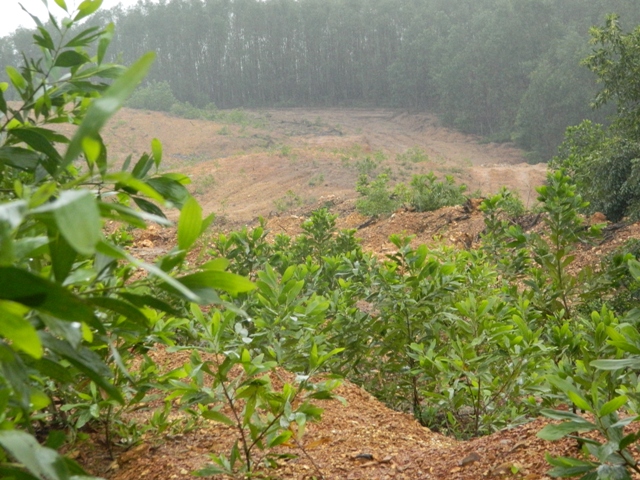Phó chủ tịch Thừa Thiên Huế: Cương quyết rút giấy phép khai thác khoáng sản ảnh hưởng đến môi trường vả người dân