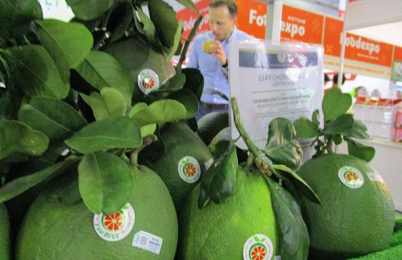 Xuất khẩu phải thích nghi với thị trường áp dụng các tiêu chuẩn phát triển bền vững